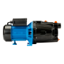 Насос поверхностный Джамбо 70/50 Ч (2.0)